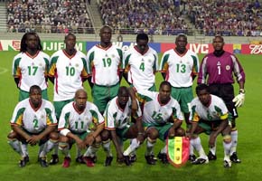 les lions de la t&eacute;ranga