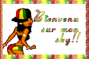 bienvenu dans mon vip-blog